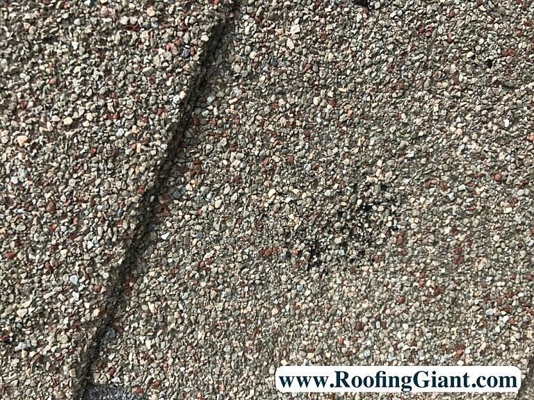 Photograph of hail impact damage to roofing shingles