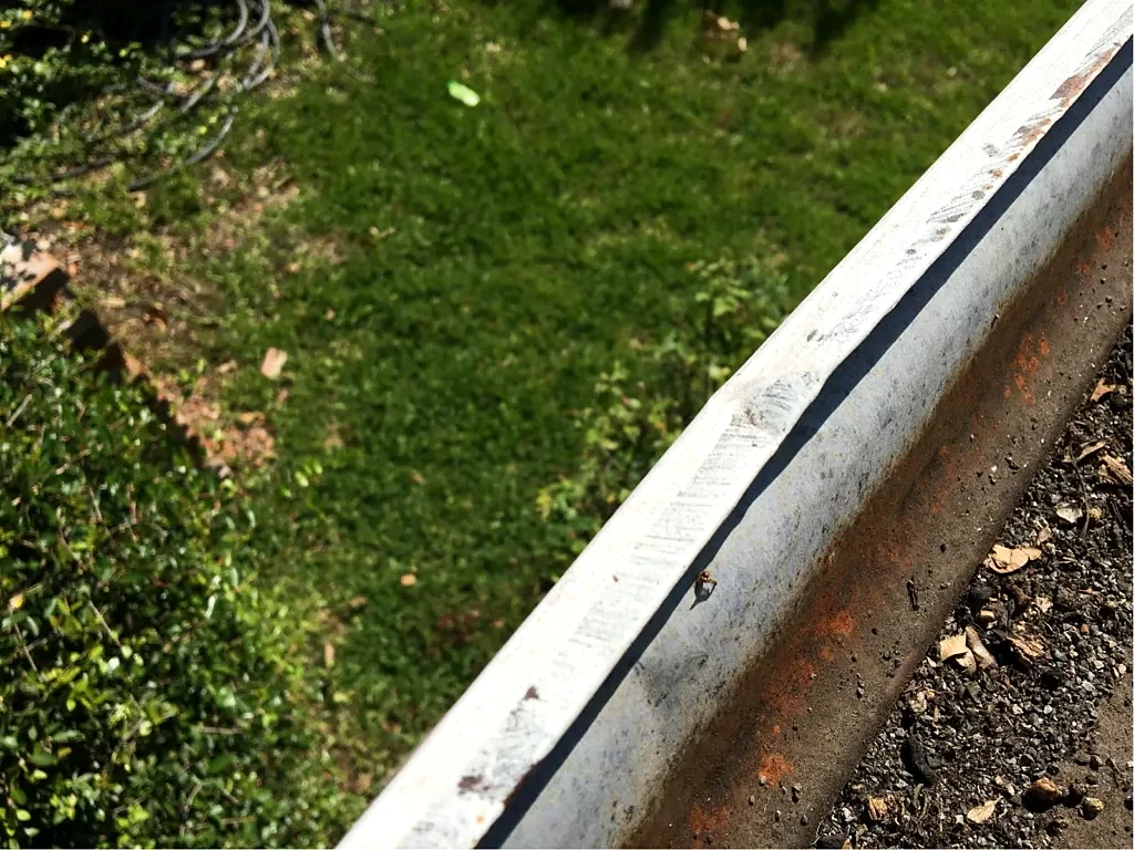 Gutter condition recorded during inspection.