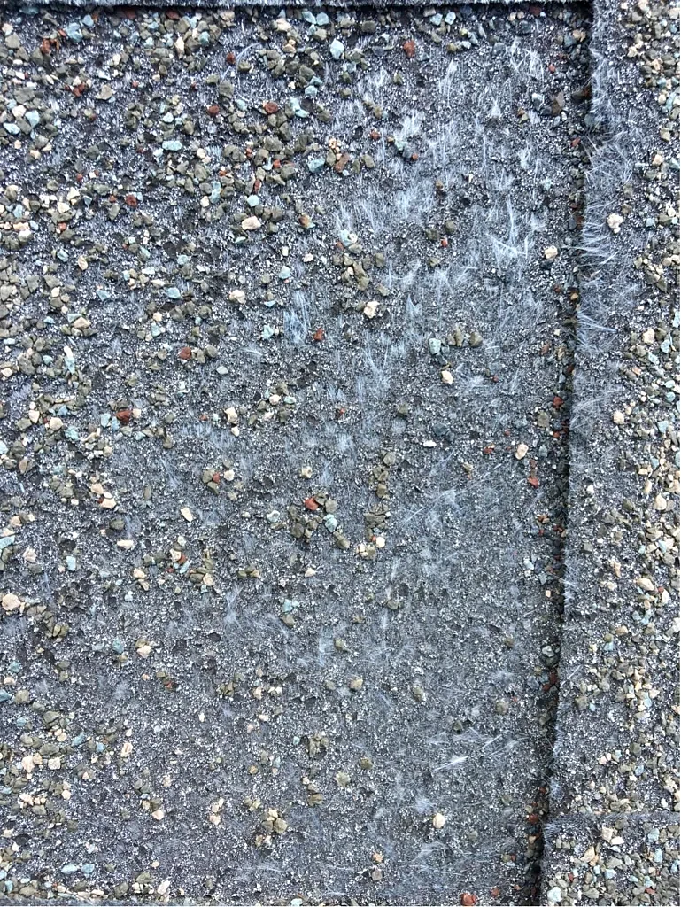 Close view of the existing shingle surface.