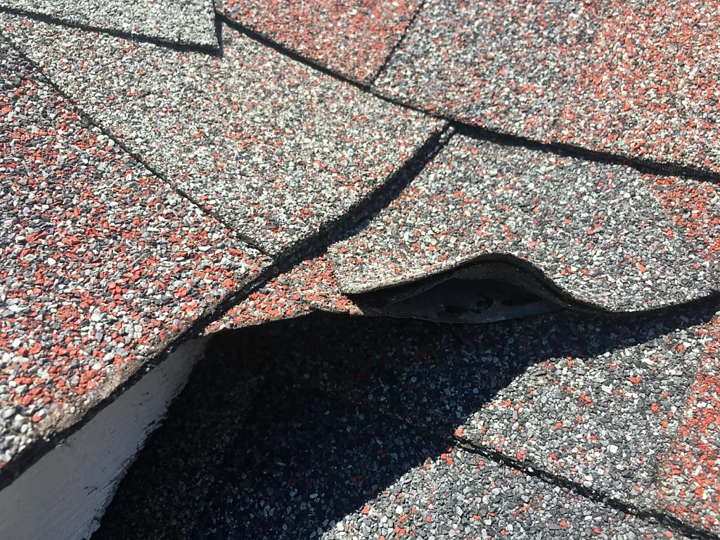 Lifted shingle edge documented during inspection.