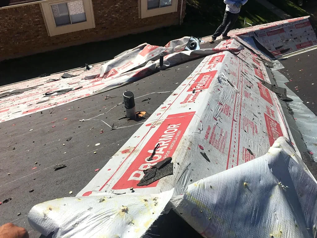 Underlayment visible around the roof penetrations.
