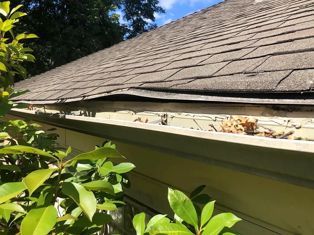 Roof edge and gutter condition before replacement.