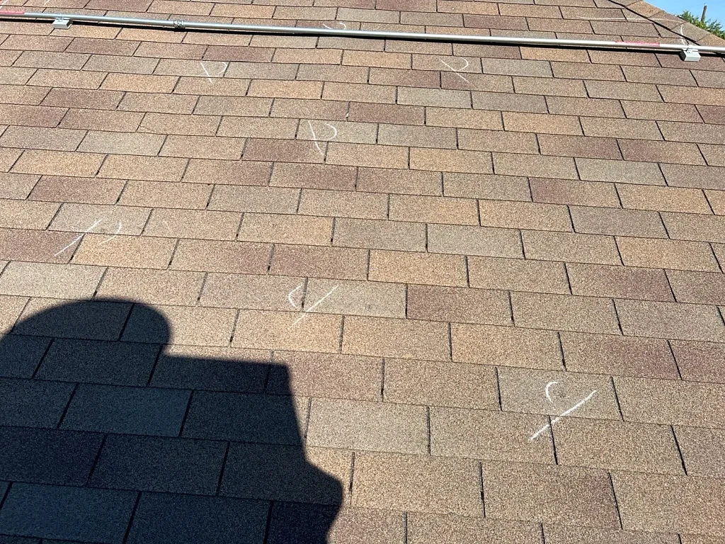 Wide view of the existing three-tab shingle surface.